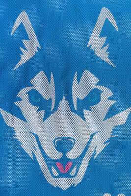 Mad Wave Malzeme Filesi Büyük HUSKY Mavi - 4